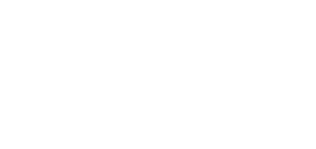 The ECOBOARD Project